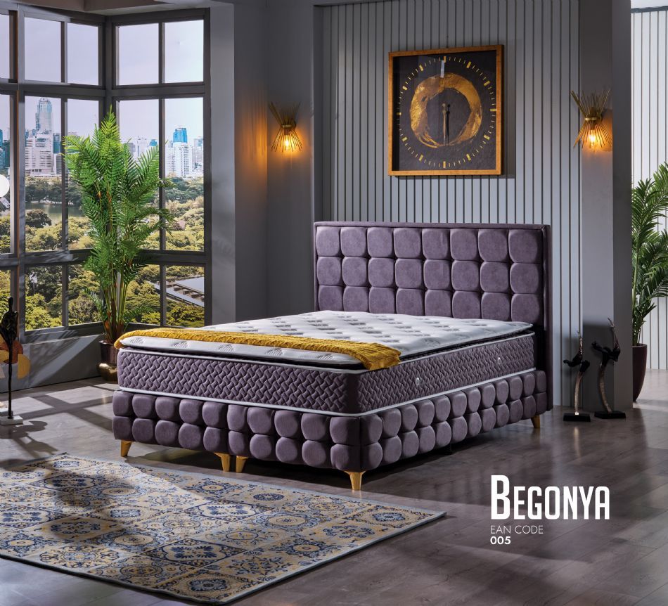 BEGONYA ÇİFT KİŞİLİK